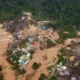 Amazonas tem maior numero de terras indigenas sob pressao.webp