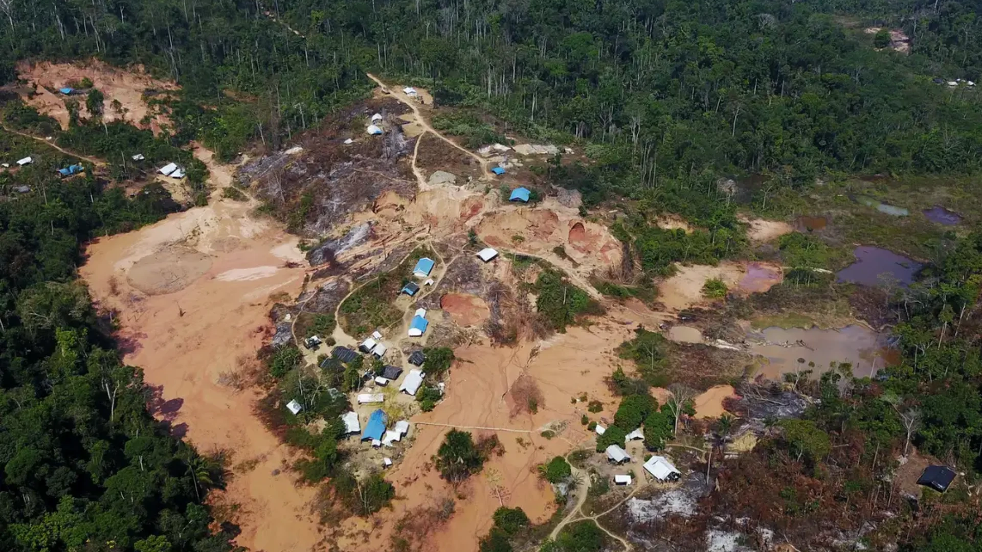 Amazonas tem maior numero de terras indigenas sob pressao.webp