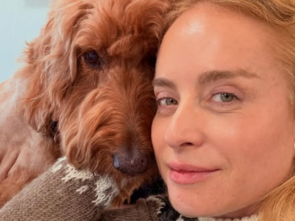 Angelica revela luta pela saude de cachorra da familia Vamos