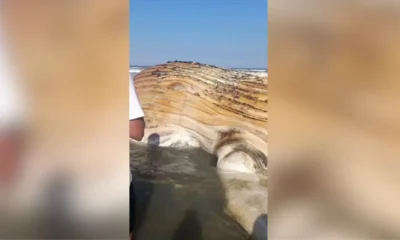 Baleia e encontrada morta na faixa de areia em.webp