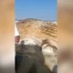 Baleia e encontrada morta na faixa de areia em.webp