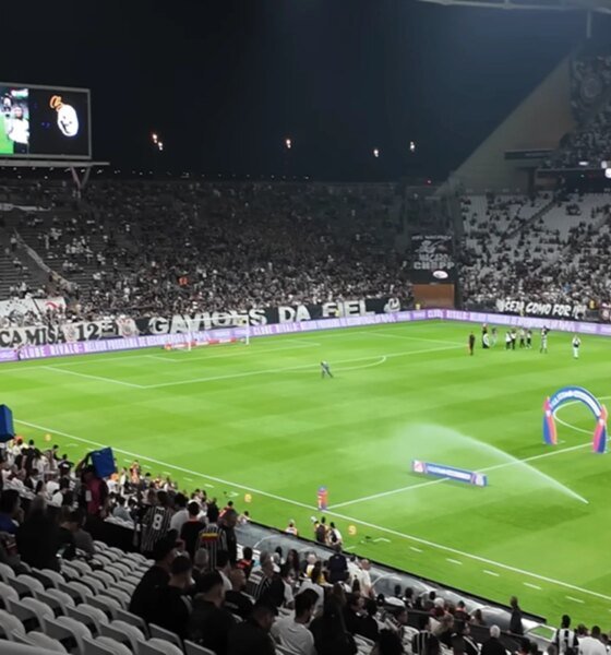 Brasileirao Serie A Fernando Diniz troca pecas no Timao Saiba