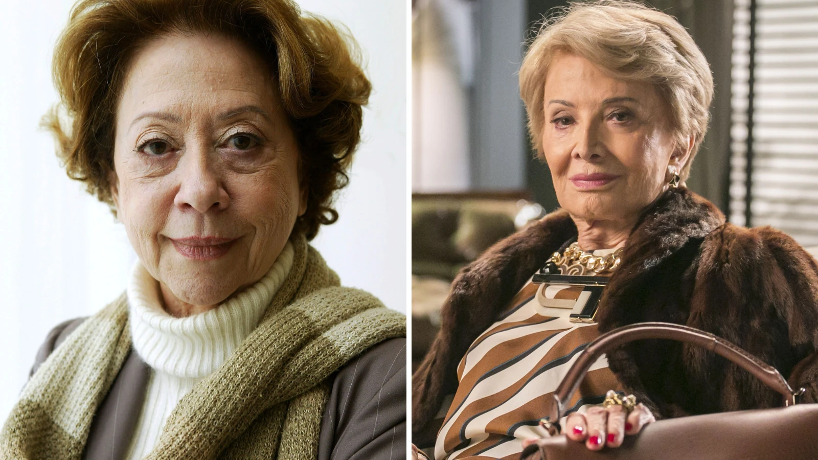Fernanda Montenegro relembra ligacao com Gloria Menezes em post.webp