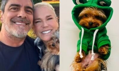 Junno Andrade lamenta perda de cachorro com Xuxa Meu companheirinho
