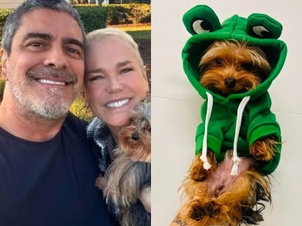 Junno Andrade lamenta perda de cachorro com Xuxa Meu companheirinho