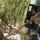 Bombeiro envolvido nas buscas por helicoptero de Rick faz revelacao