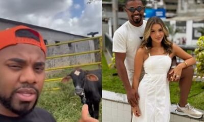 Davi Brito choca ao mostrar boi vivo que sera abatido